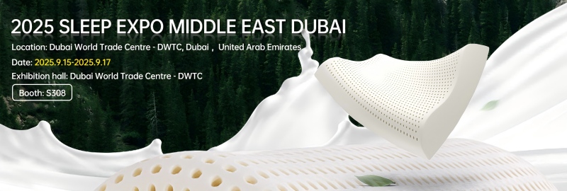 Temui Jiasheng di 2025 Expo Sleep Middle East Dubai
